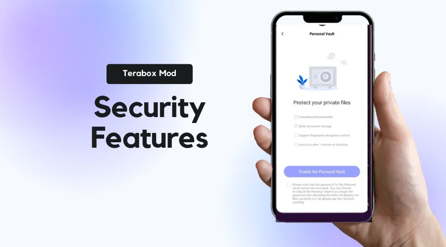 Security Features in terabox